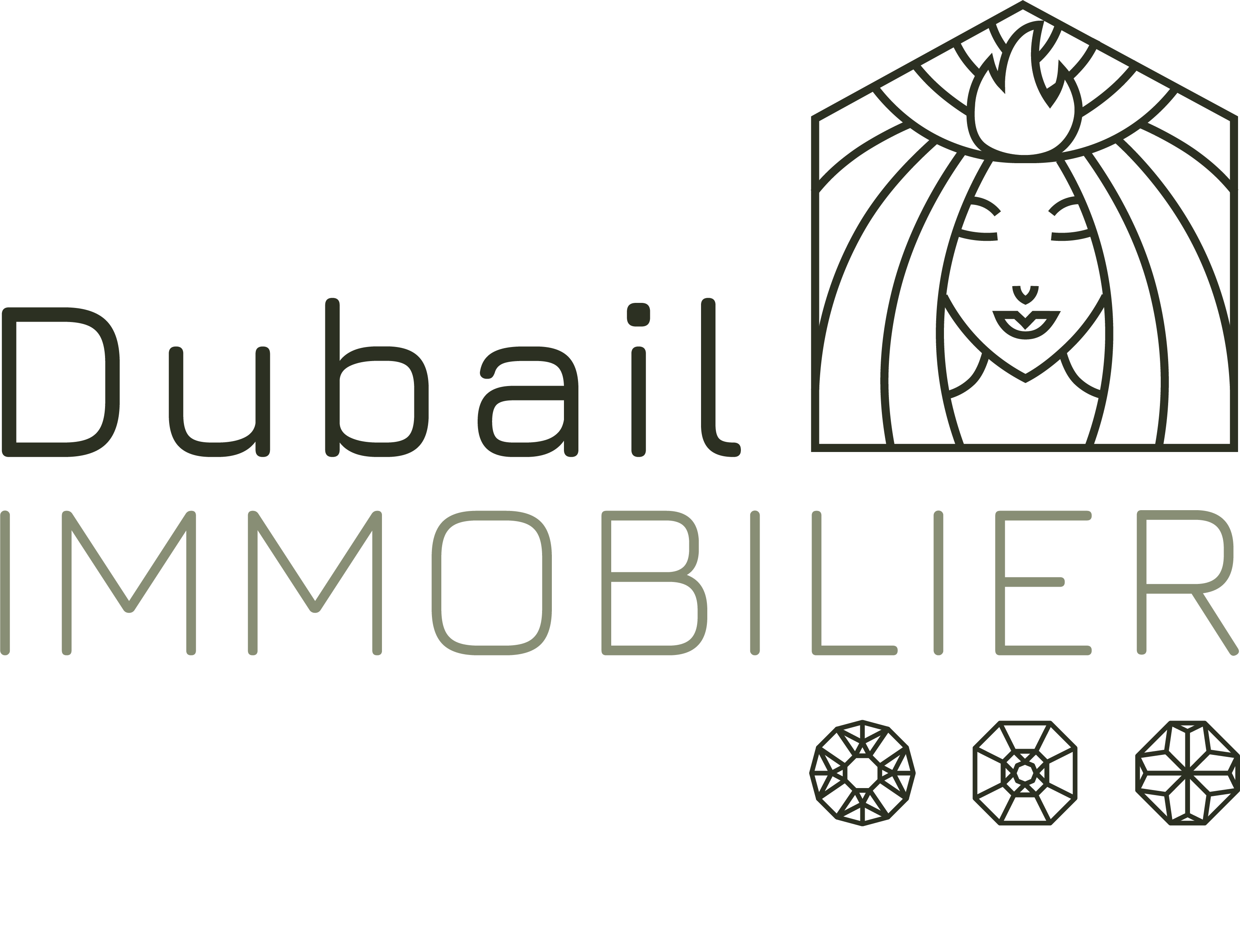 Logo en couleur - Dubail Immobilier